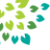 Leaves+Top+Left+Transparent+Background
